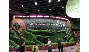 2019北京世園會，我們來啦