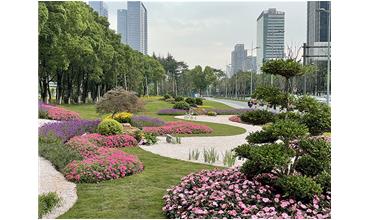 來現(xiàn)場(chǎng)打卡，感受“美麗無錫”的美好